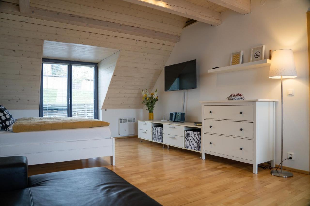Stylový apartmán č. 8 U Venuše, Pavlov u Mikulova Exteriér fotografie